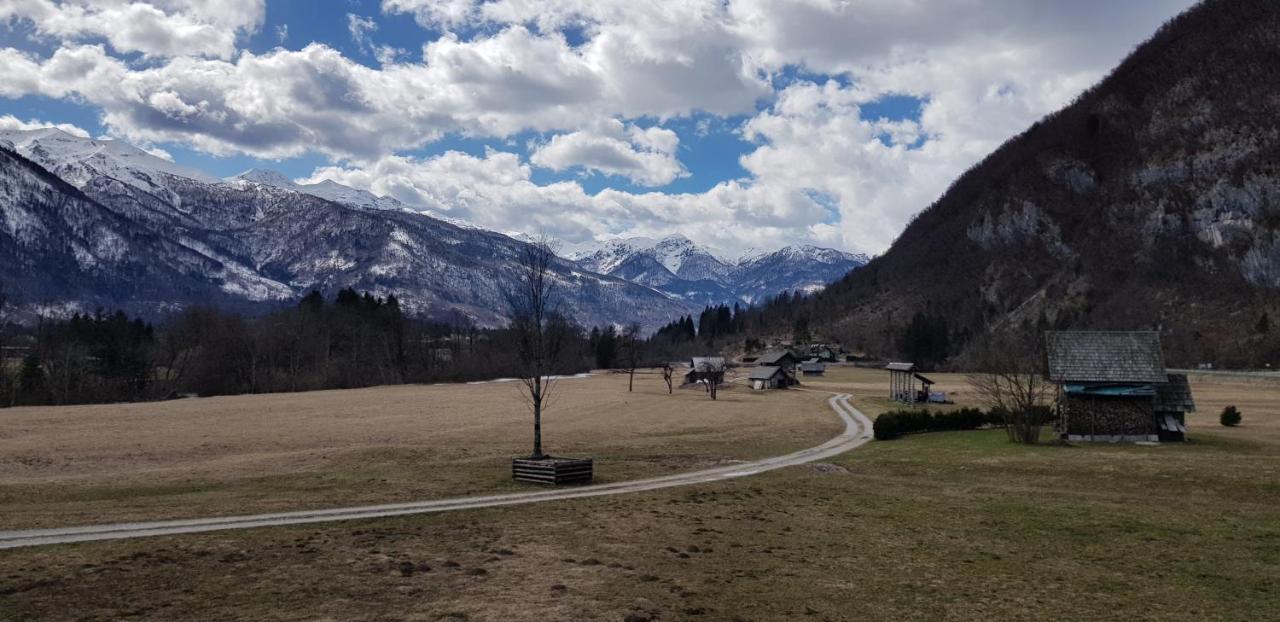 7 Lakes Apartment Bohinj Buitenkant foto