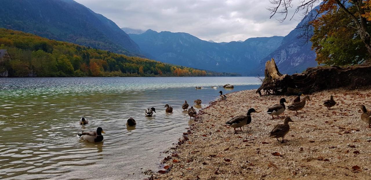 7 Lakes Apartment Bohinj Buitenkant foto