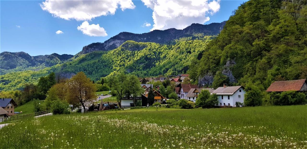 7 Lakes Apartment Bohinj Buitenkant foto