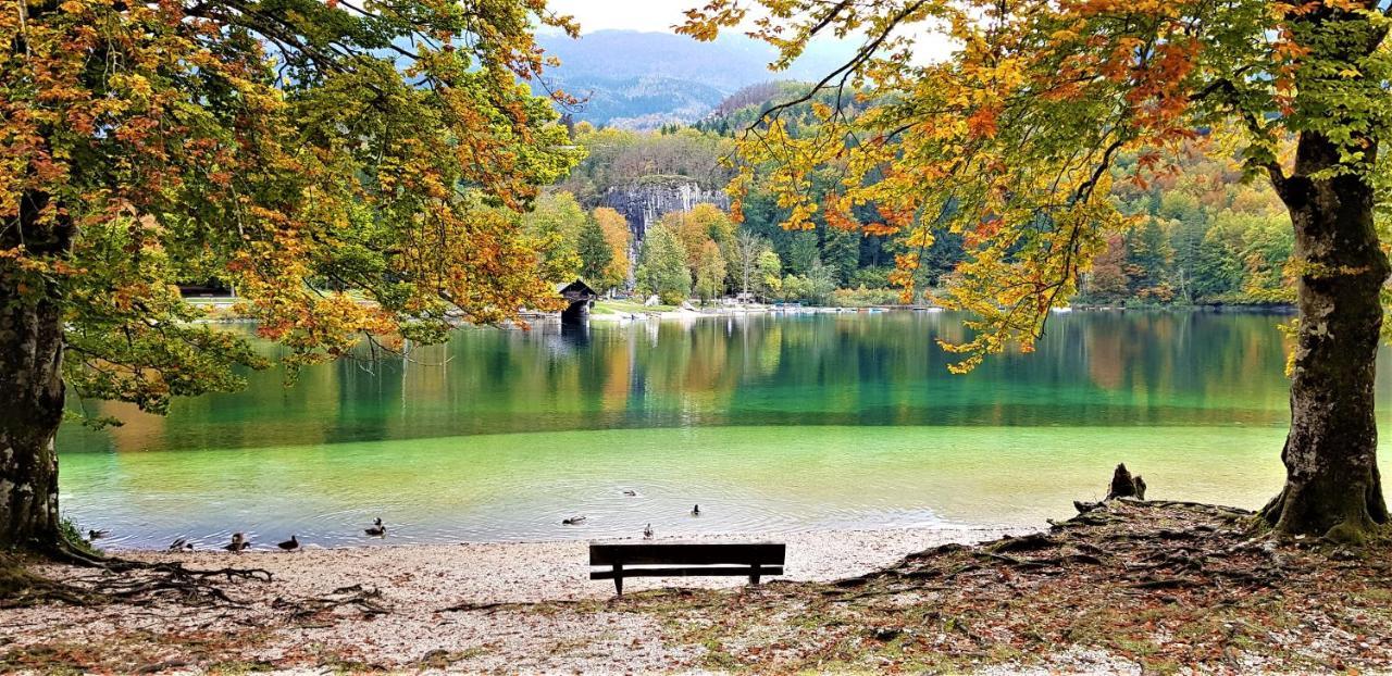 7 Lakes Apartment Bohinj Buitenkant foto