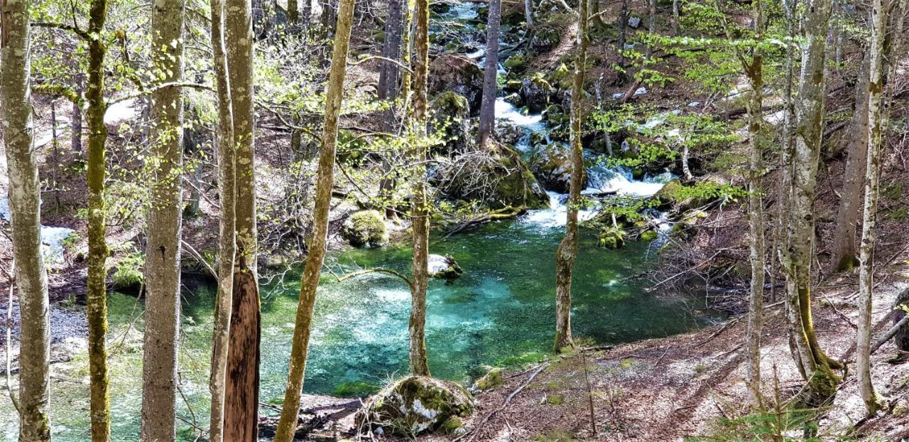 7 Lakes Apartment Bohinj Buitenkant foto