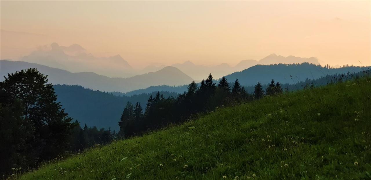 7 Lakes Apartment Bohinj Buitenkant foto