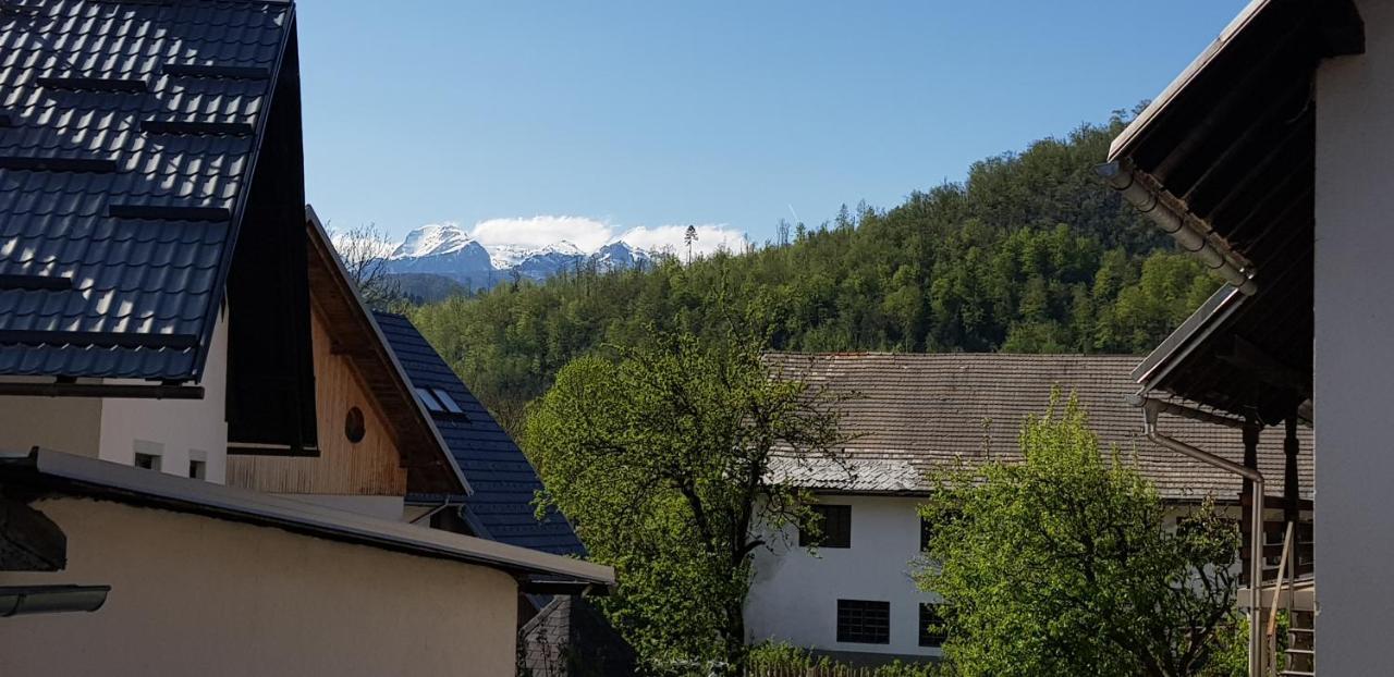 7 Lakes Apartment Bohinj Buitenkant foto